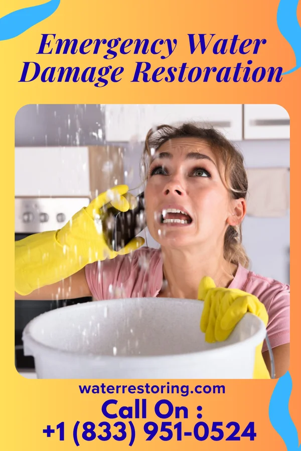 Emergency Water Damage Restoration in La Fayette, AL