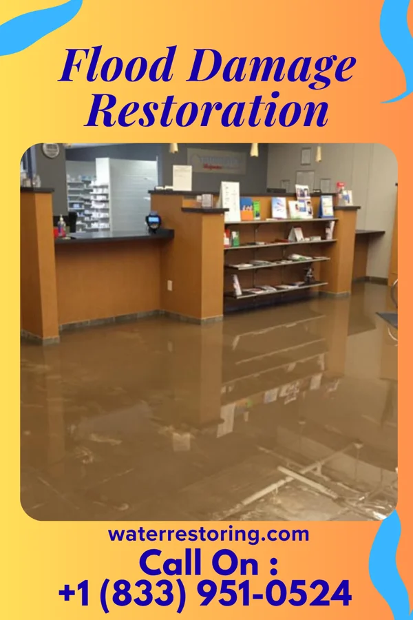Flood Damage Restoration in La Fayette, AL